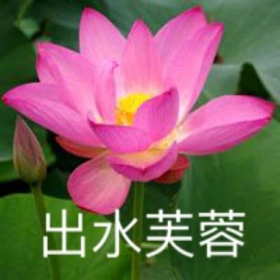 百度心动庄园2最新版下载